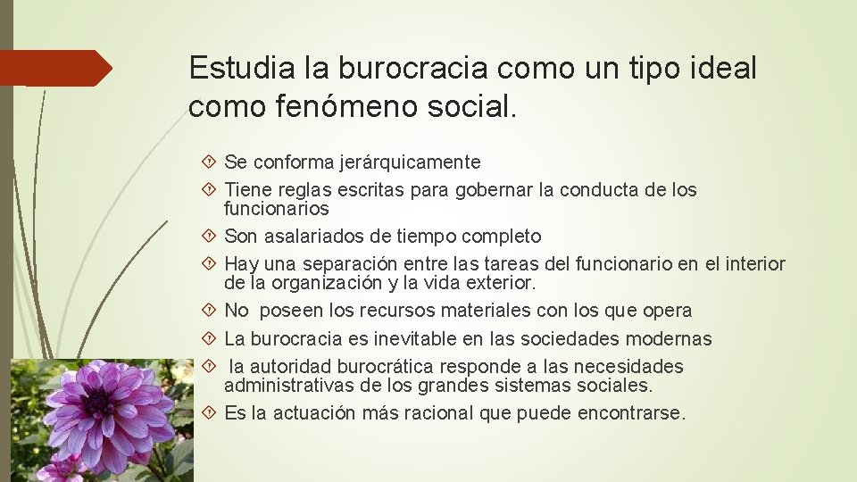 Estudia la burocracia como un tipo ideal como fenómeno social. Se conforma jerárquicamente Tiene