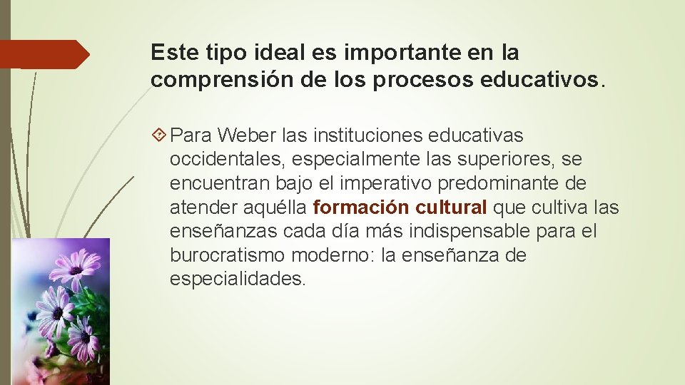 Este tipo ideal es importante en la comprensión de los procesos educativos. Para Weber