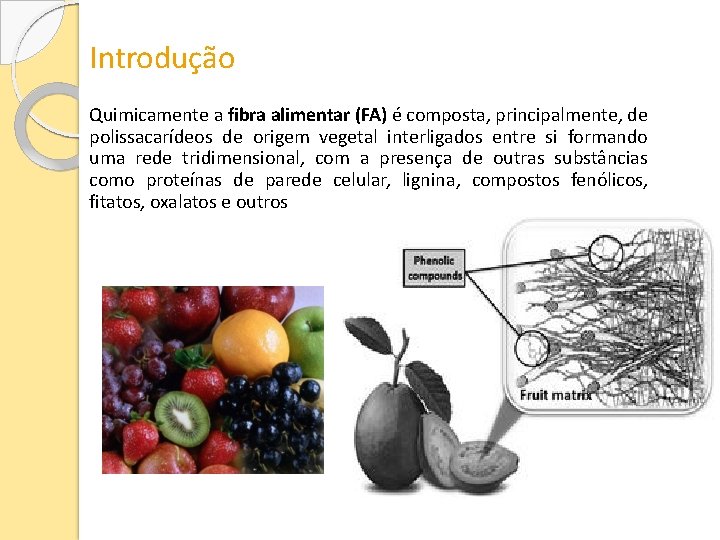 Introdução Quimicamente a fibra alimentar (FA) é composta, principalmente, de polissacarídeos de origem vegetal
