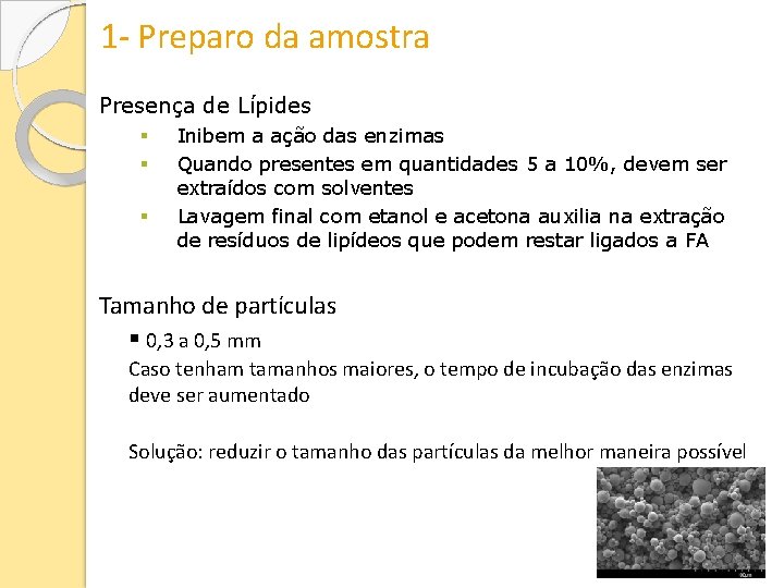 1 - Preparo da amostra Presença de Lípides Inibem a ação das enzimas Quando
