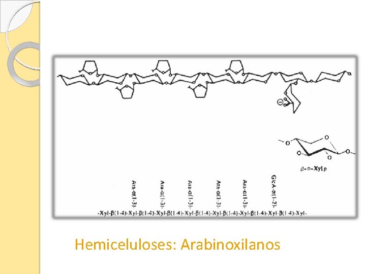 Hemiceluloses: Arabinoxilanos 