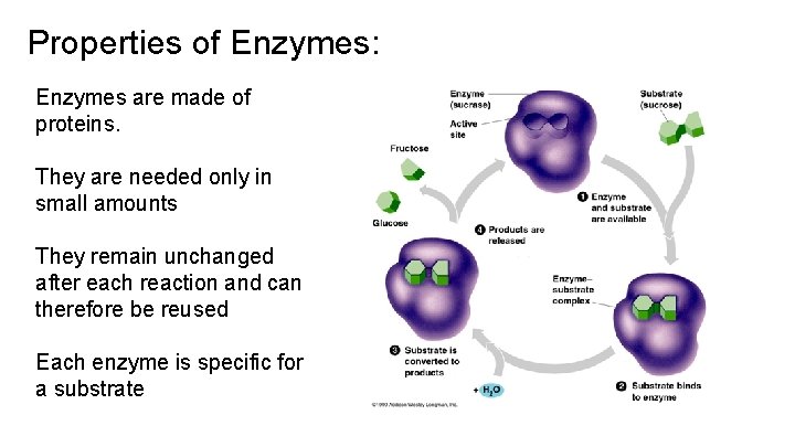 Properties of Enzymes: Enzymes are made of proteins. They are needed only in small