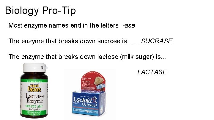 Biology Pro-Tip Most enzyme names end in the letters -ase The enzyme that breaks