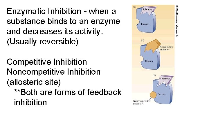Enzymatic Inhibition - when a substance binds to an enzyme and decreases its activity.