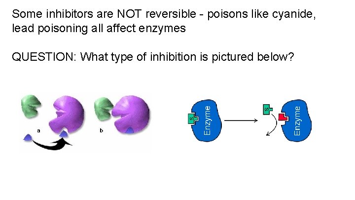 Some inhibitors are NOT reversible - poisons like cyanide, lead poisoning all affect enzymes