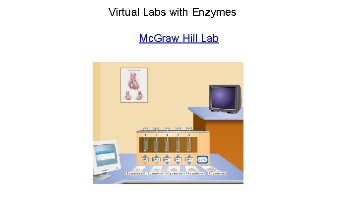 Virtual Labs with Enzymes Mc. Graw Hill Lab 