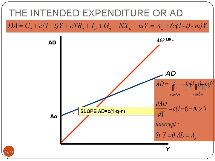 THE INTENDED EXPENDITURE OR AD 45 o LINE AD AD Ao Pág. 22 SLOPE