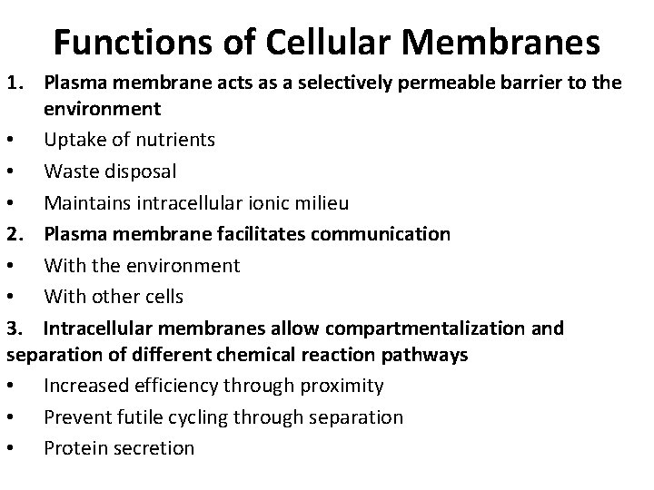 Functions of Cellular Membranes 1. Plasma membrane acts as a selectively permeable barrier to