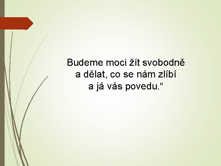 Budeme moci žít svobodně a dělat, co se nám zlíbí a já vás povedu.