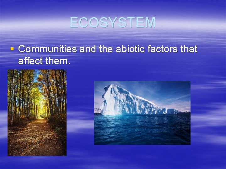 ECOSYSTEM § Communities and the abiotic factors that affect them. 