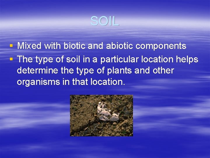 SOIL § Mixed with biotic and abiotic components § The type of soil in