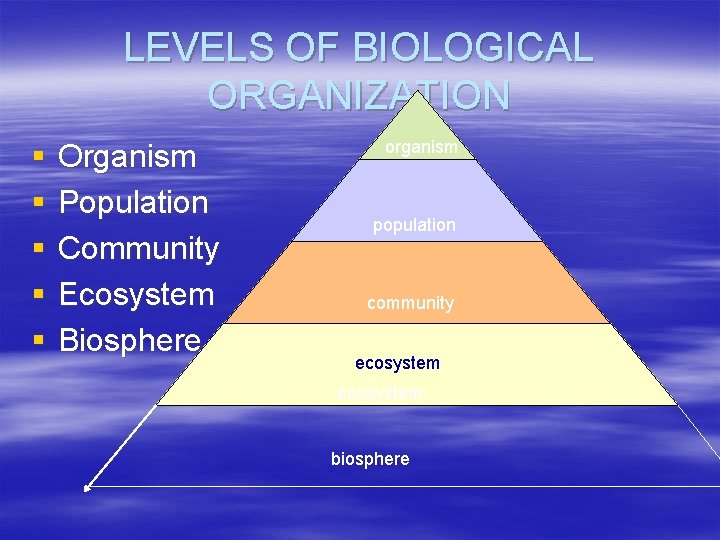 LEVELS OF BIOLOGICAL ORGANIZATION § § § Organism Population Community Ecosystem Biosphere organism population