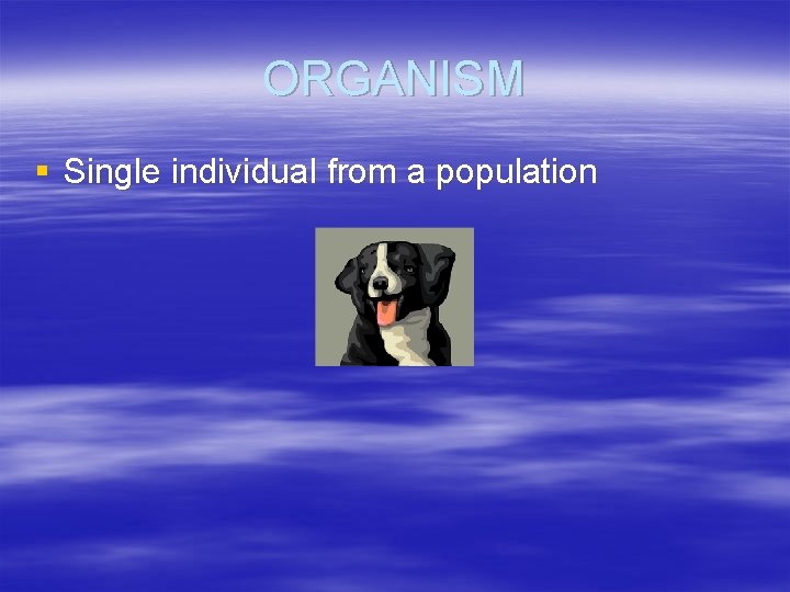 ORGANISM § Single individual from a population 