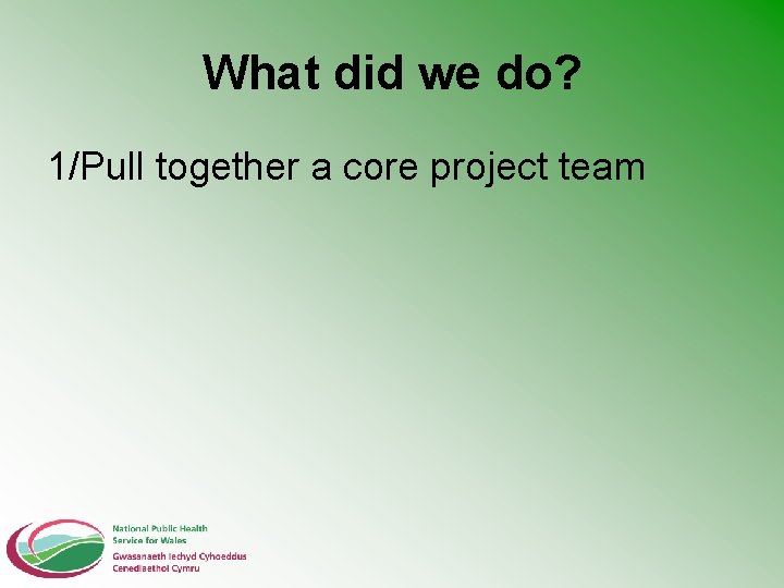 What did we do? 1/Pull together a core project team 