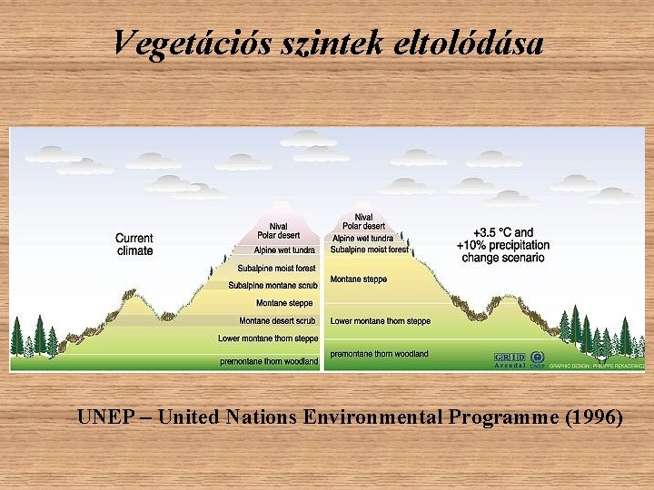 Vegetációs szintek eltolódása UNEP – United Nations Environmental Programme (1996) Vegetációs szintek eltolódása UNEP – United Nations Environmental Programme (1996)