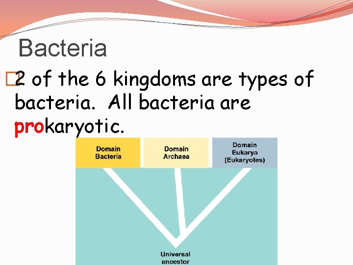 Bacteria � 2 of the 6 kingdoms are types of bacteria. All bacteria are