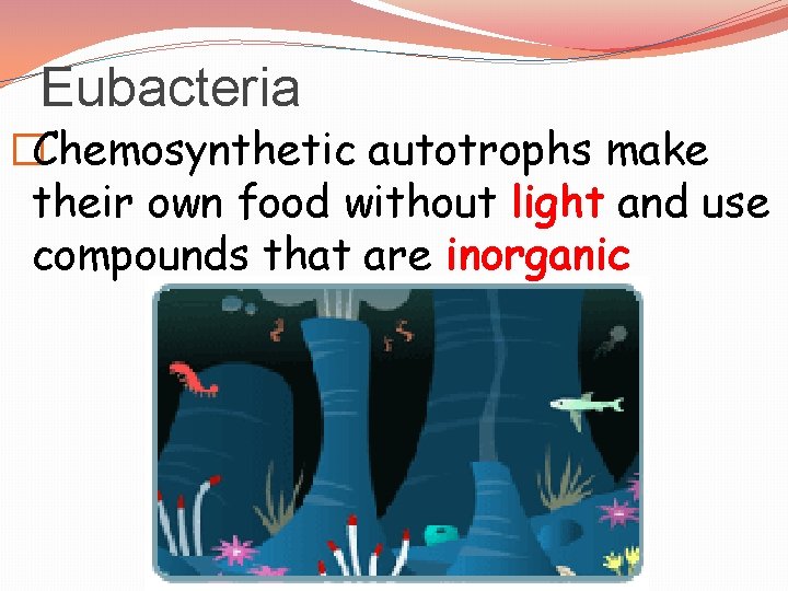 Eubacteria �Chemosynthetic autotrophs make their own food without light and use compounds that are