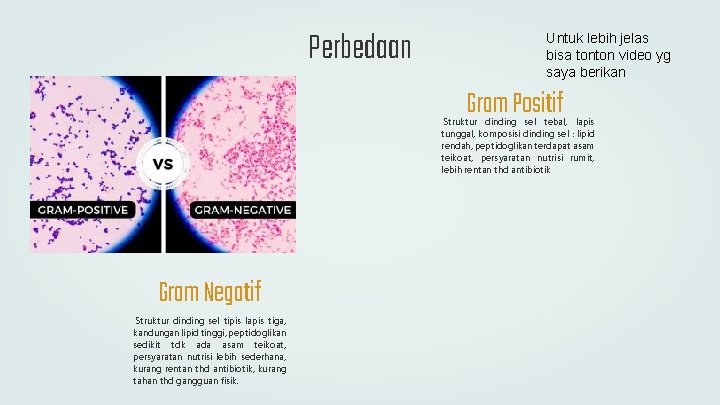 Perbedaan Untuk lebih jelas bisa tonton video yg saya berikan Gram Positif Struktur dinding