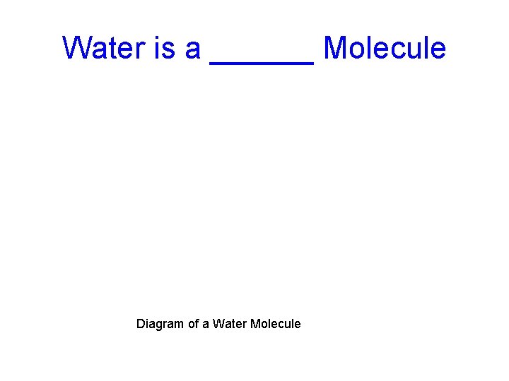 Water is a ______ Molecule Diagram of a Water Molecule 