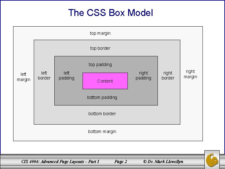 The CSS Box Model top margin top border top padding left margin left border