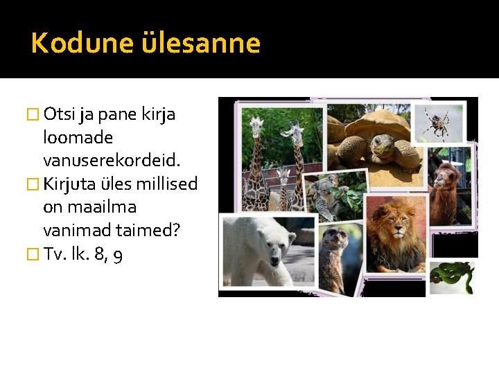 Kodune ülesanne � Otsi ja pane kirja loomade vanuserekordeid. � Kirjuta üles millised on