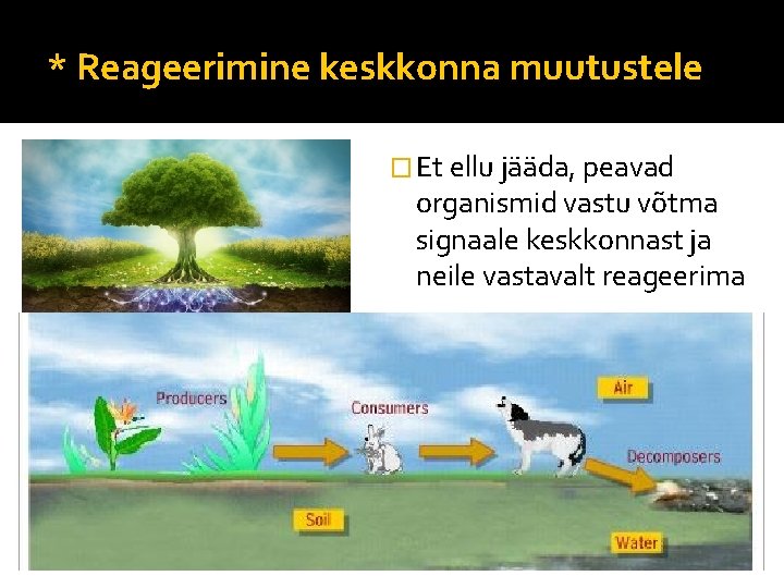 * Reageerimine keskkonna muutustele � Et ellu jääda, peavad organismid vastu võtma signaale keskkonnast