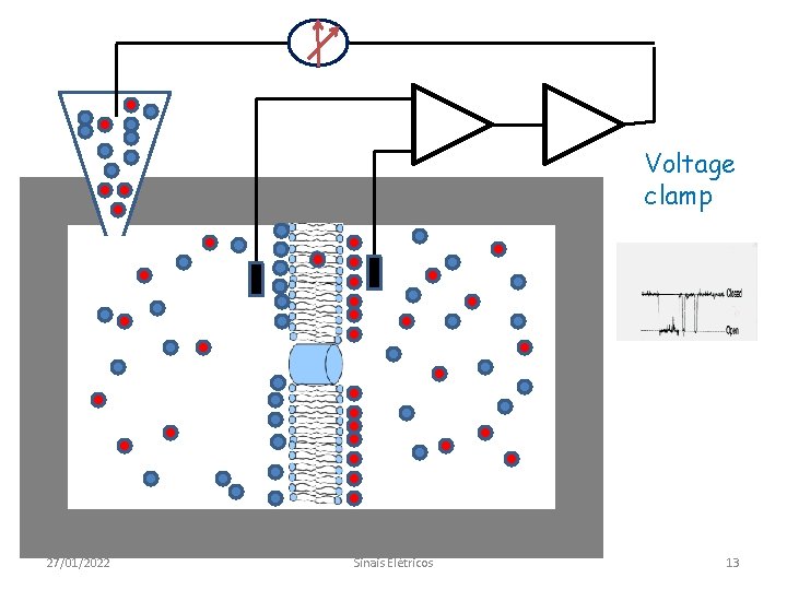 A Voltage clamp 27/01/2022 Sinais Elétricos 13 