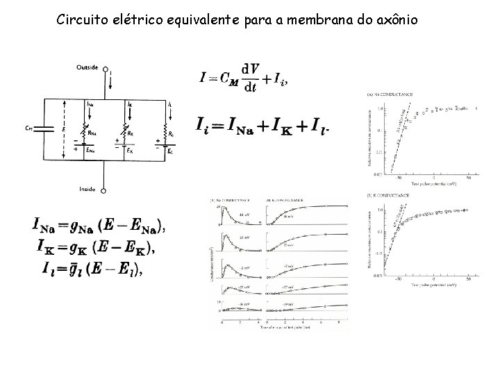 Circuito elétrico equivalente para a membrana do axônio 