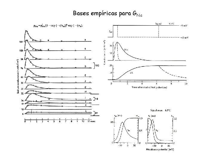 Bases empíricas para GNa 