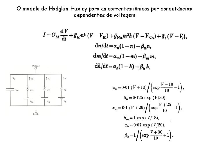 O modelo de Hodgkin-Huxley para as correntes iônicas por condutâncias dependentes de voltagem 