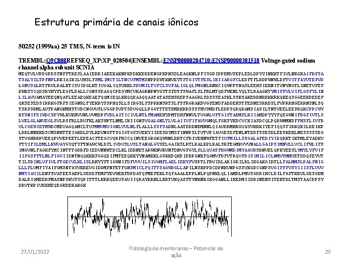 Estrutura primária de canais iônicos 50252 (1999 aa) 25 TMS, N-term is IN TREMBL: