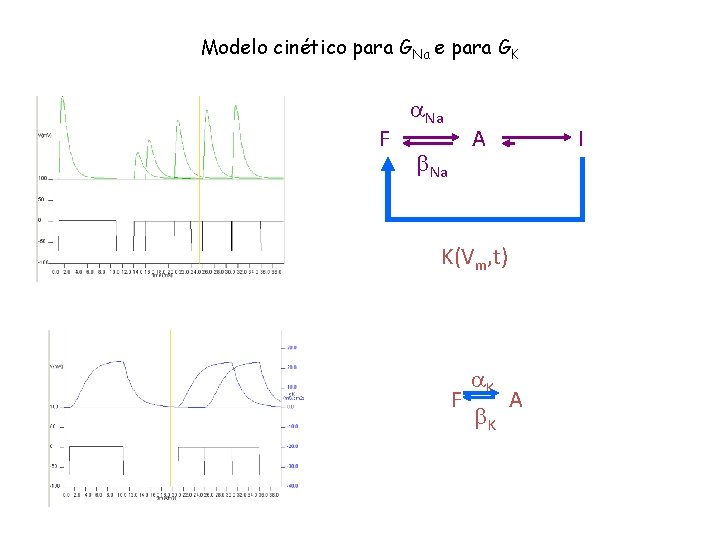 Modelo cinético para GNa e para GK F a. Na A b. Na I