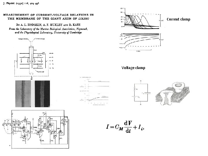 Current clamp Voltage clamp 