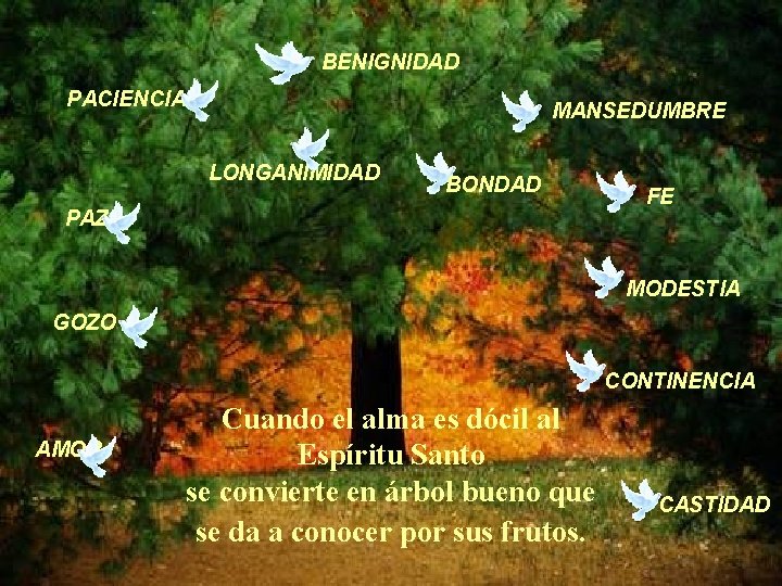 BENIGNIDAD PACIENCIA MANSEDUMBRE LONGANIMIDAD BONDAD PAZ FE MODESTIA GOZO CONTINENCIA AMOR Cuando el alma