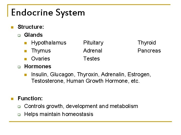Endocrine System n Structure: q Glands n Hypothalamus Pituitary Thyroid n Thymus Adrenal Pancreas