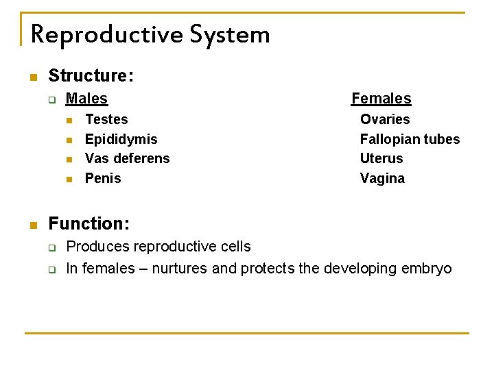 Reproductive System n Structure: q Males n n n Testes Epididymis Vas deferens Penis