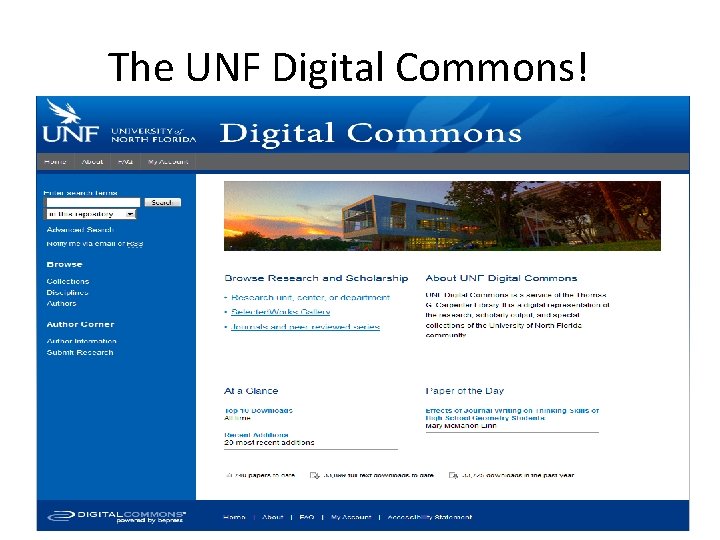 The UNF Digital Commons! 