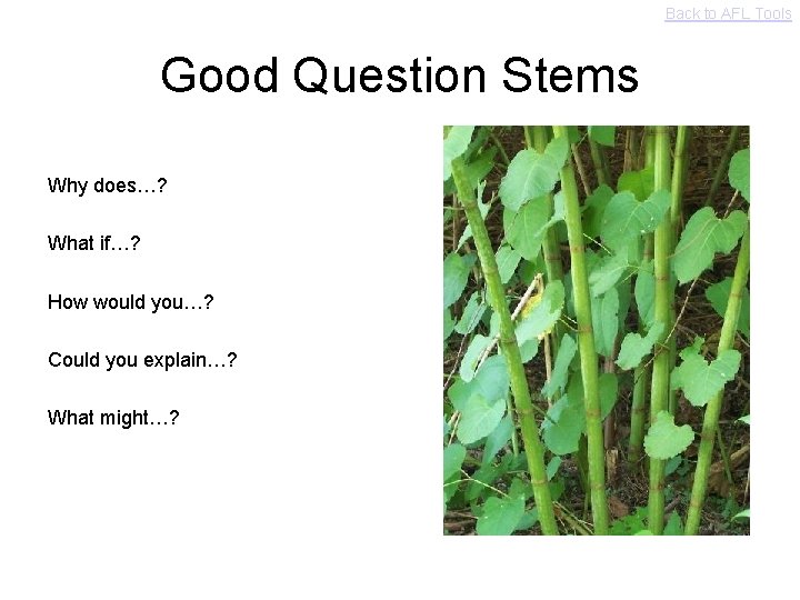 Back to AFL Tools Good Question Stems Why does…? What if…? How would you…?