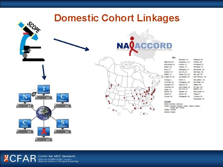 Domestic Cohort Linkages 