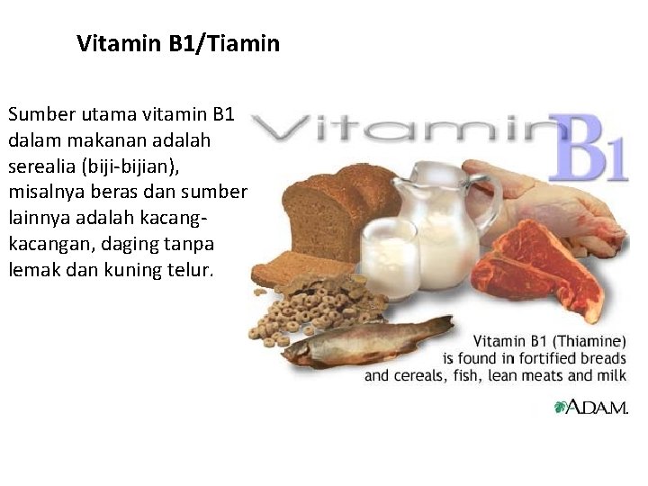 Vitamin B 1/Tiamin Sumber utama vitamin B 1 dalam makanan adalah serealia (biji-bijian), misalnya