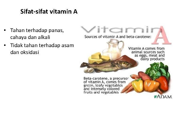 Sifat-sifat vitamin A • Tahan terhadap panas, cahaya dan alkali • Tidak tahan terhadap