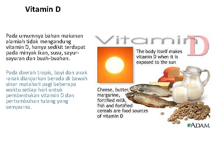 Vitamin D Pada umumnya bahan makanan alamiah tidak mengandung vitamin D, hanya sedikit terdapat