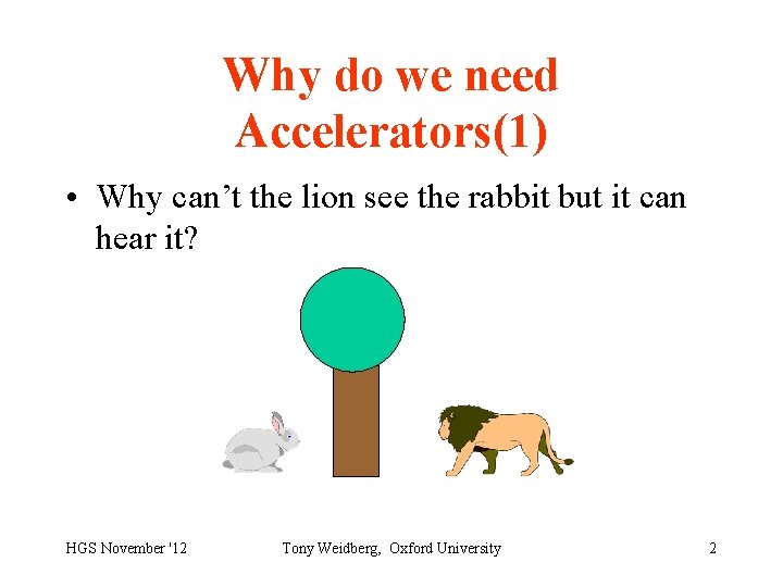 Why do we need Accelerators(1) • Why can’t the lion see the rabbit but
