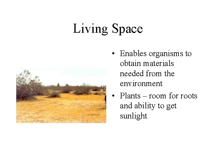 Living Space • Enables organisms to obtain materials needed from the environment • Plants