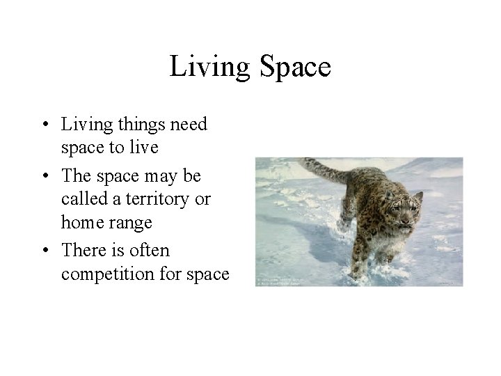 Living Space • Living things need space to live • The space may be