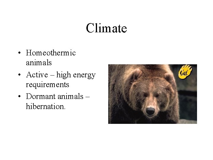 Climate • Homeothermic animals • Active – high energy requirements • Dormant animals –