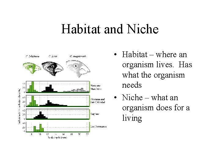Habitat and Niche • Habitat – where an organism lives. Has what the organism