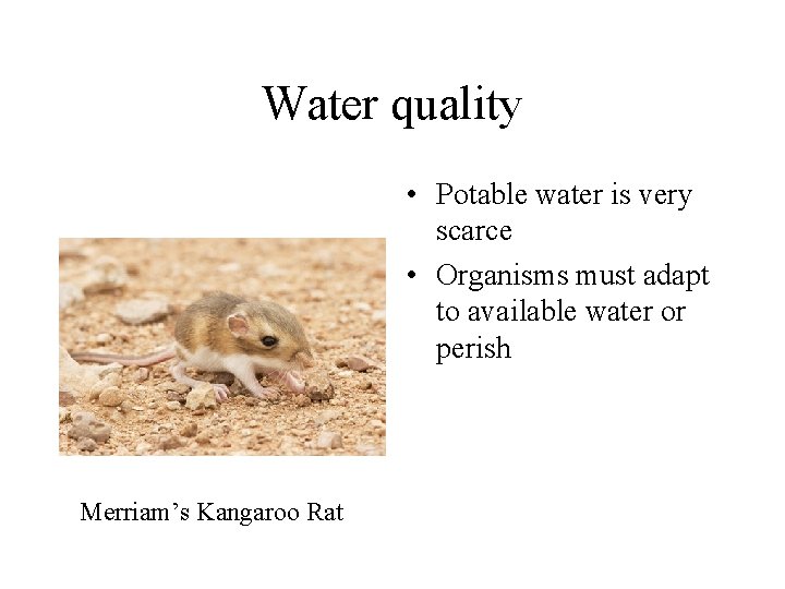 Water quality • Potable water is very scarce • Organisms must adapt to available