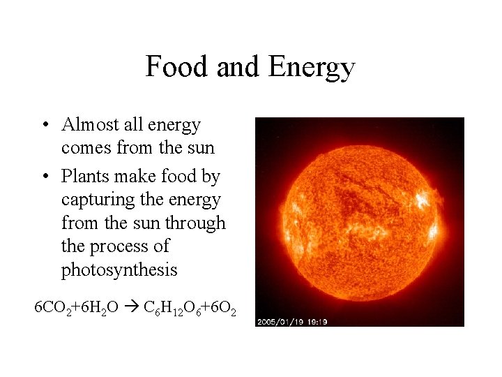 Food and Energy • Almost all energy comes from the sun • Plants make