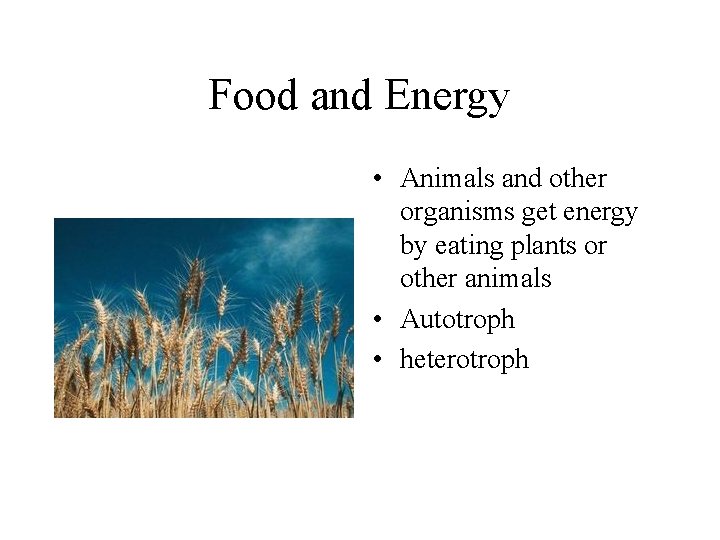 Food and Energy • Animals and other organisms get energy by eating plants or